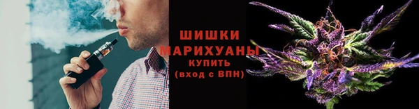 mdpv Волоколамск