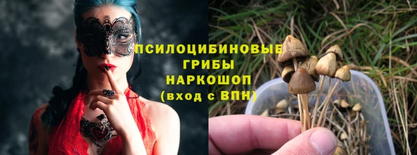mdpv Волоколамск